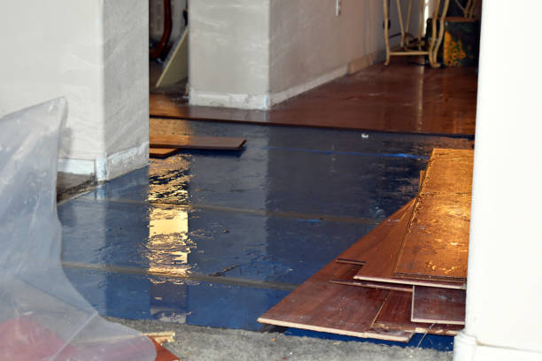Professional Basement Flood Cleanup technician working in Minersville, PA